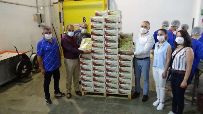 Sultani Çekirdeksiz Üzüm İhracatı Başladı